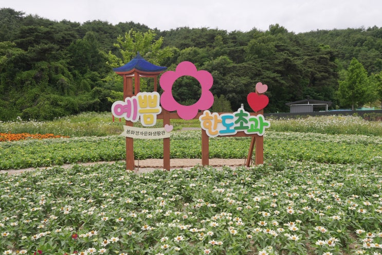  봉화 누정 전시관을 소개합니다.