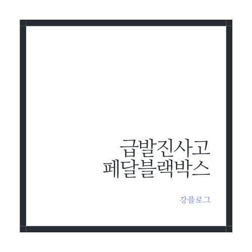  시청역 급발진 사고로 보는 가속 페달 블랙박스 설치