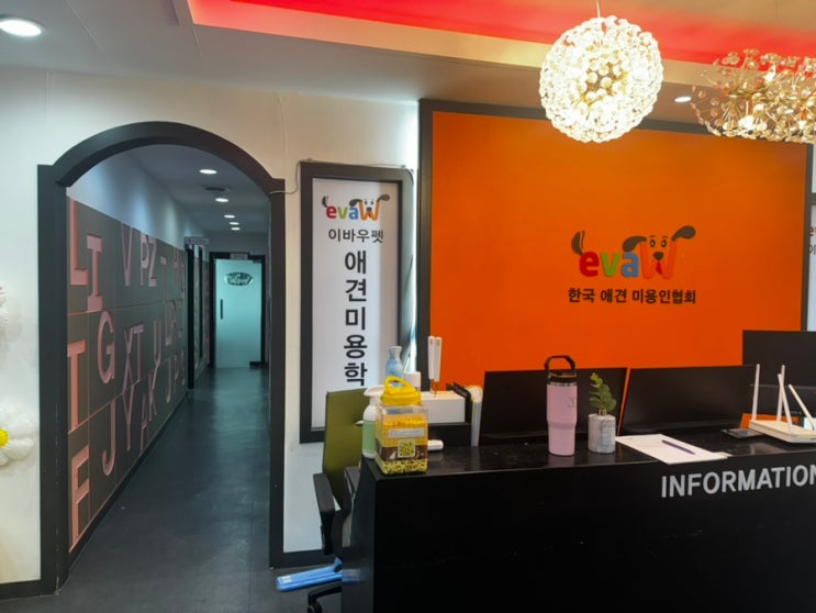 애견미용사 창업 전망, 매출, 학원 살펴보기