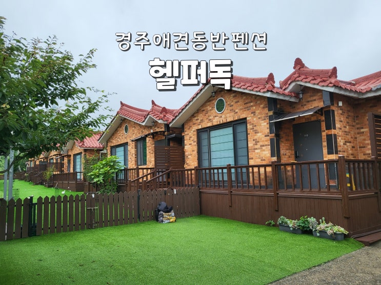  경주 애견동반 펜션 울산애견동반펜션 힐링여행 헬퍼독애견펜션