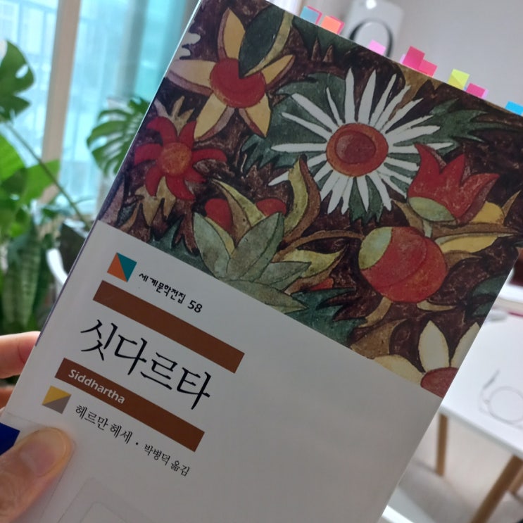  싯다르타 헤르만 헤세 지음 민음사 세계 문학 고전 소설 추천
