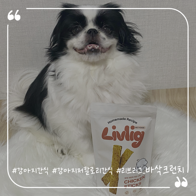  강아지간식추천 강아지저칼로리간식 리브리그 바삭크런치