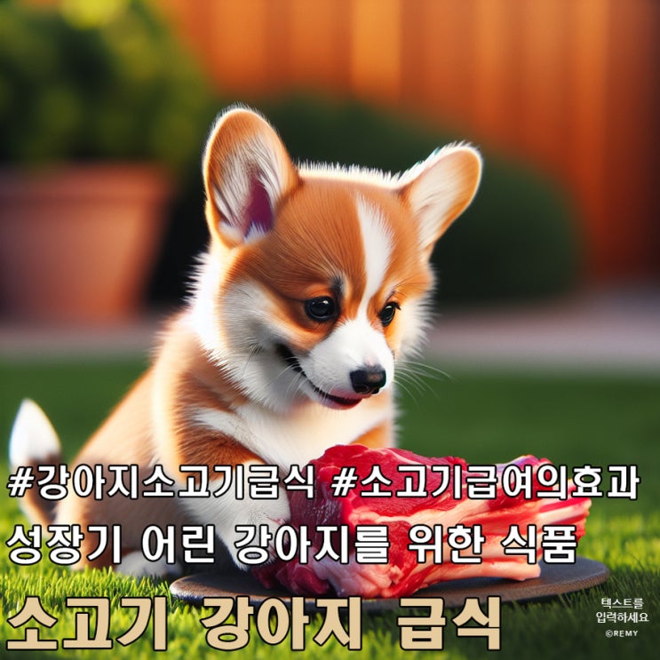  강아지 건강에 좋은 소고기 급식의 장점과 주의 사항.