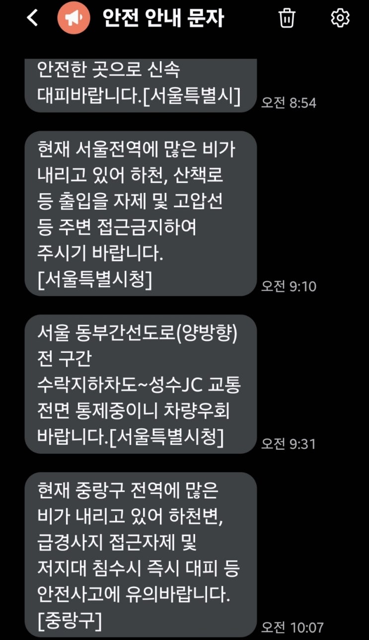 비가 무섭게 오네요 (동부간선도로통제. 중앙선지연) 비가 무섭게 오네요 (동부간선도로통제. 중앙선지연)