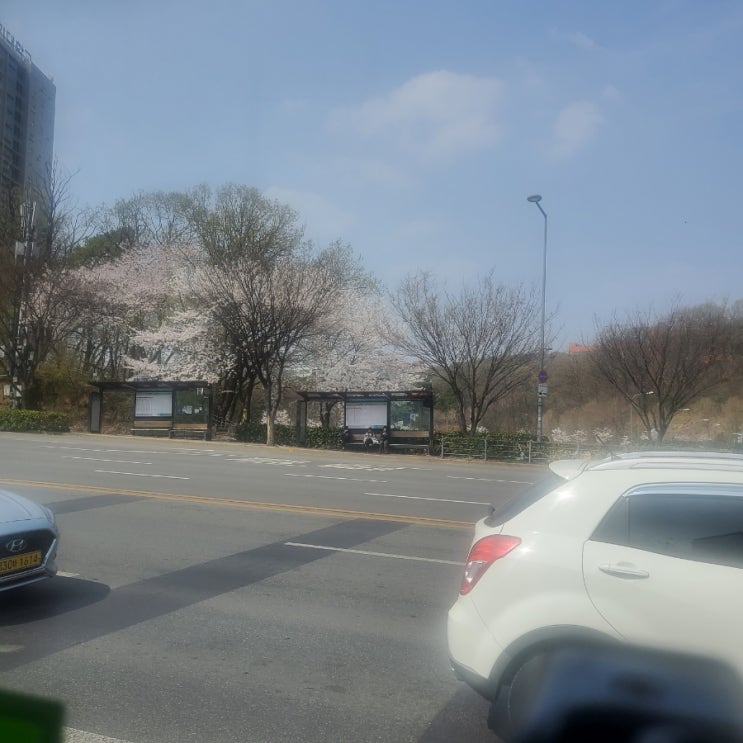  메가쇼방문기 팔도밥상페어 광교 너무힘들다..