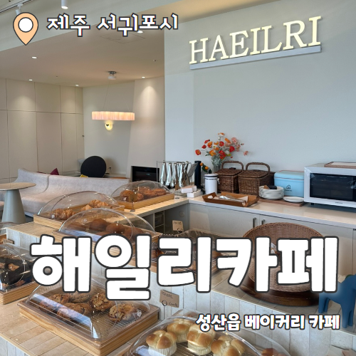  해일리 카페 : 성산읍 인생샷 건지기 좋은 카페 추천 후기