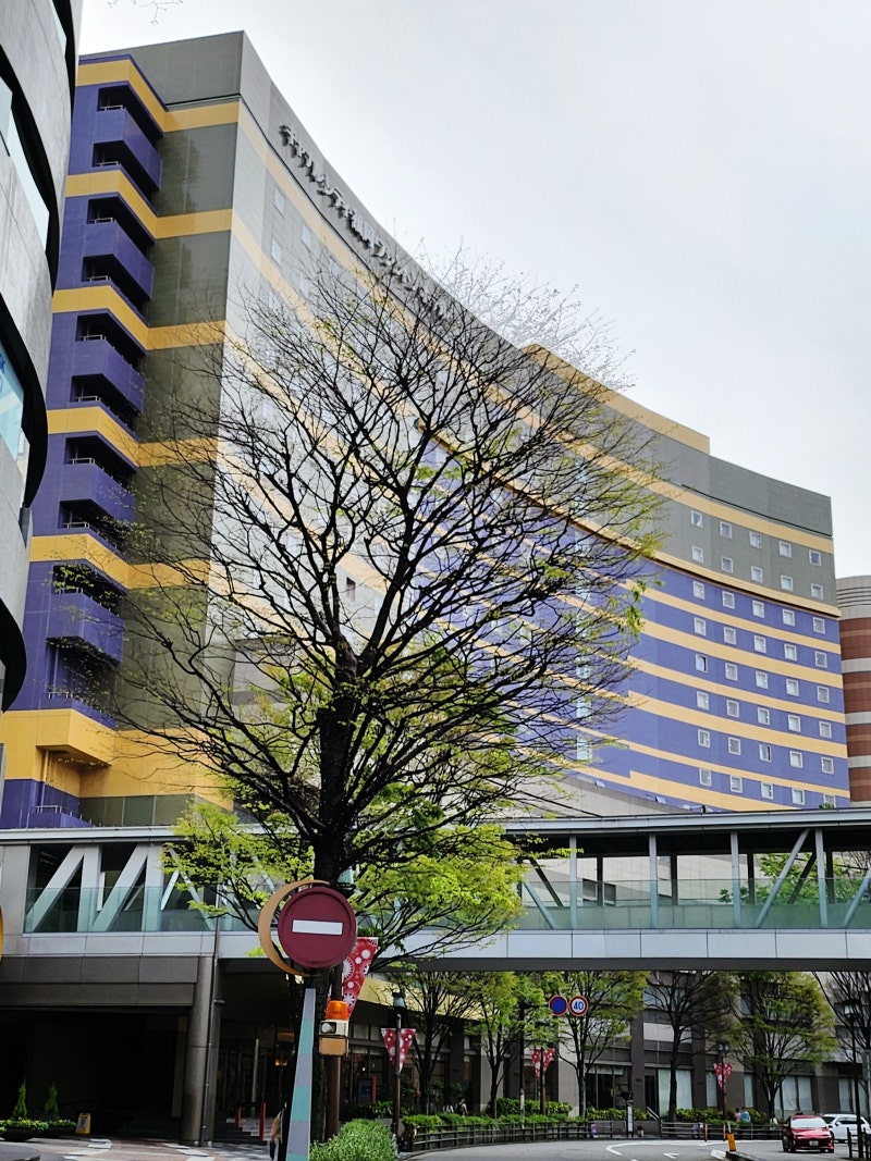 일본 후쿠오카 여행 가성비 좋은 숙소 추천 :::하카타 캐널시티 워싱턴호텔 : 네이버 블로그