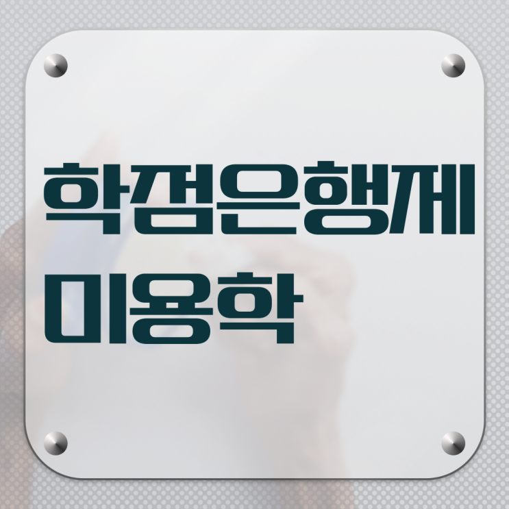  남자 미용사 , 국가미용자격증 실기없이 인강으로 갖출 수 있었어요