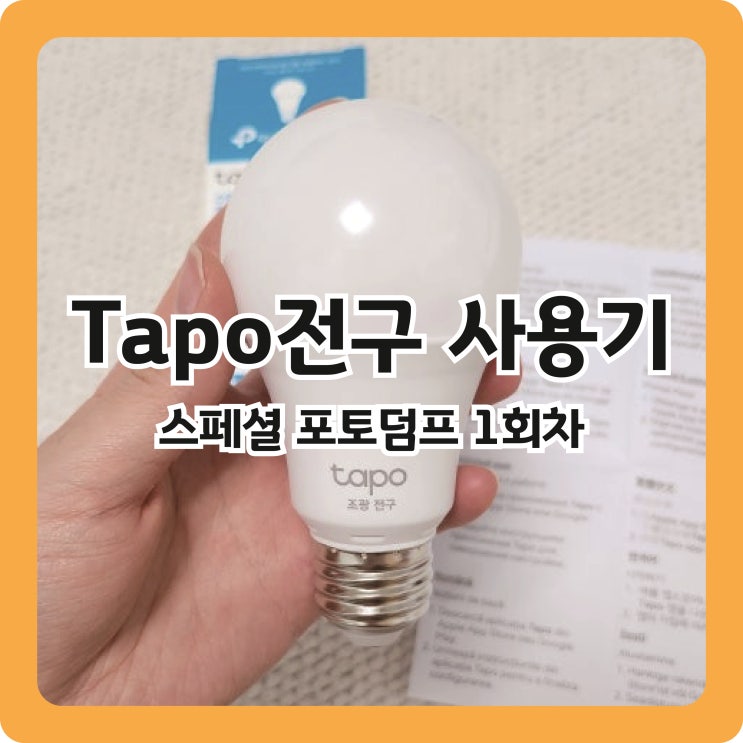  [블챌 스페셜 포토덤프] 스마트 와이파이 전구 tapo 사용기