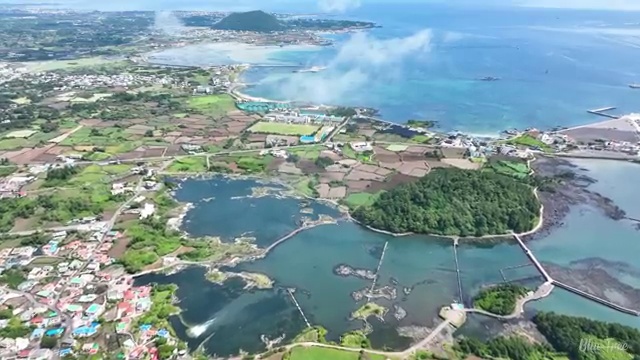  수산물품질관리원 자격증 , 취득방법
