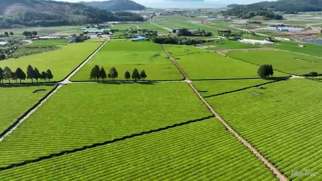  수산물품질관리사 자격증 , 합격률과 난이도