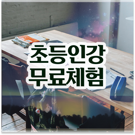  10세 초등 영어 파닉스 엘리하이로