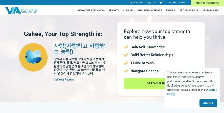  VIA 강점 검사 무료 성격검사 MBTI 말고 나의 강점에 대해 알 수 있는 방법