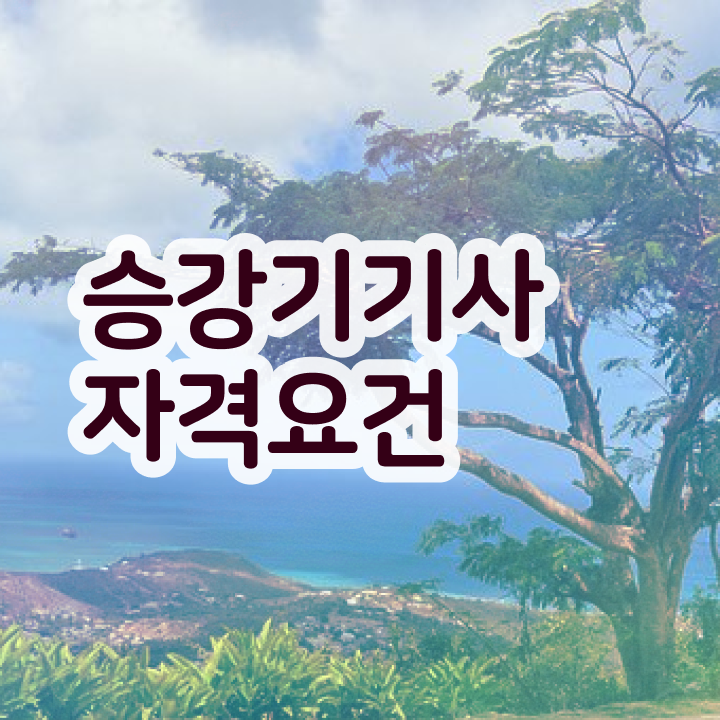  승강기기사조건 승강기기사 시험응시조건 집에서 온라인으로 4달만에 준비한 후기