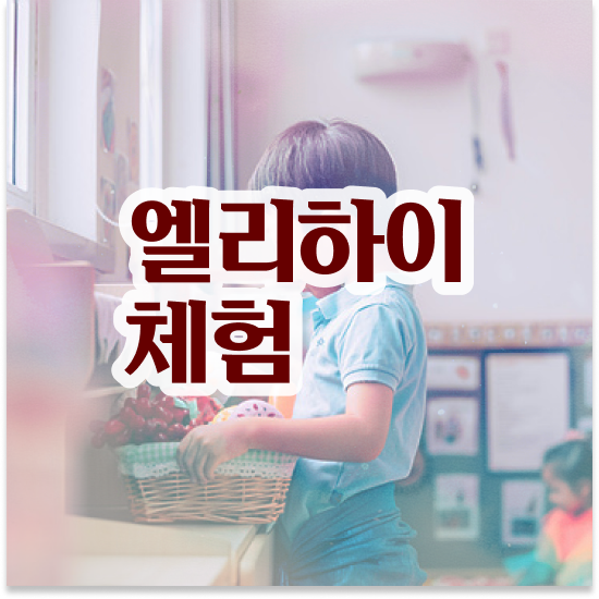  12세 학습지 가격 엘리하이로 대비해요