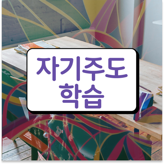  초등 2학년 엘리하이로