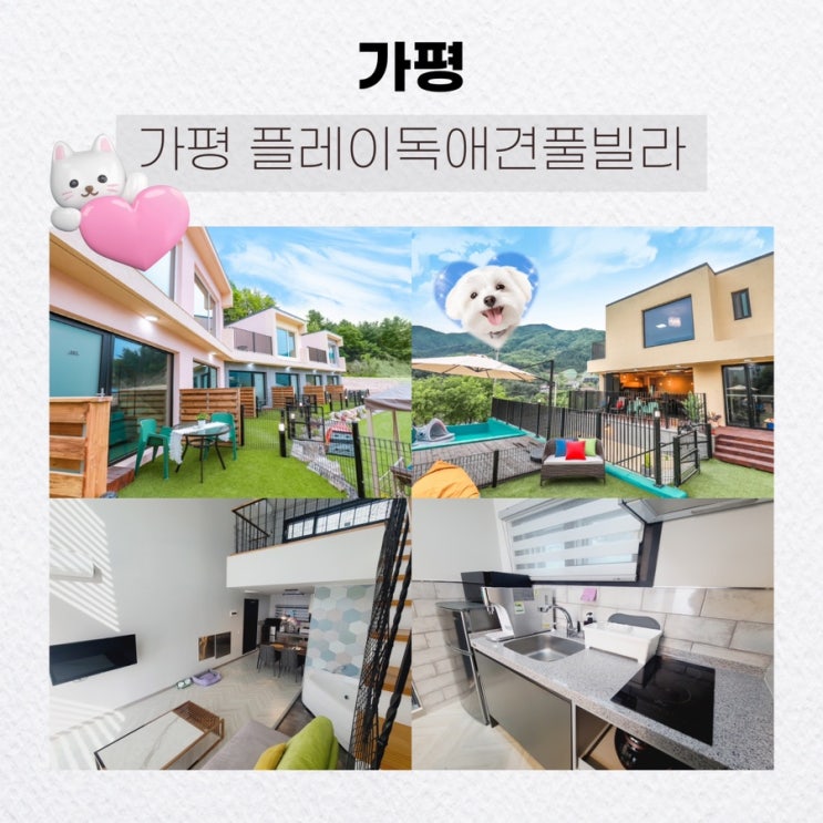  가평 인기 애견펜션, 아침고요수목원애견펜션 : 가평 플레이독애견풀빌라