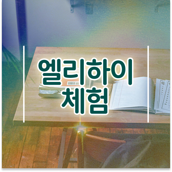  엘리하이로 1:1관리