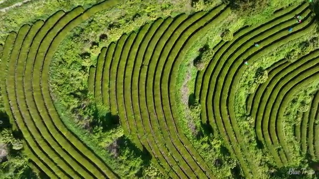  수산물품질관리원 자격증 , 활용 방법과 전망