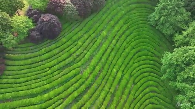  수산물품질관리원 자격증 , 준비한 방법