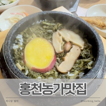  홍천읍 비발디파크 근처 한정식 홍천농가맛집 20첩반상 곤드레 시래기 돌솥밥