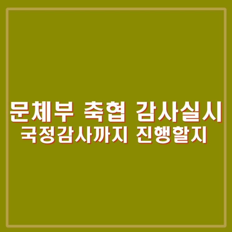 <b>문체부 축구협회 감사</b>한다.... 비난만 키운다. 국정감사도 진행?