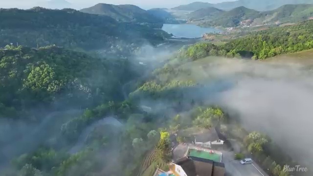  수산물품질관리사 자격증 , 활용방법