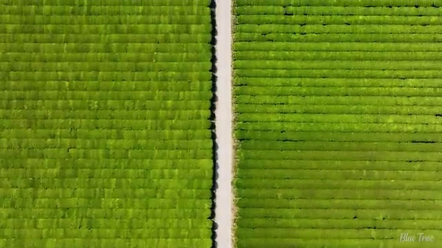  수산물 품질관리사 자격증 , 취득 정보