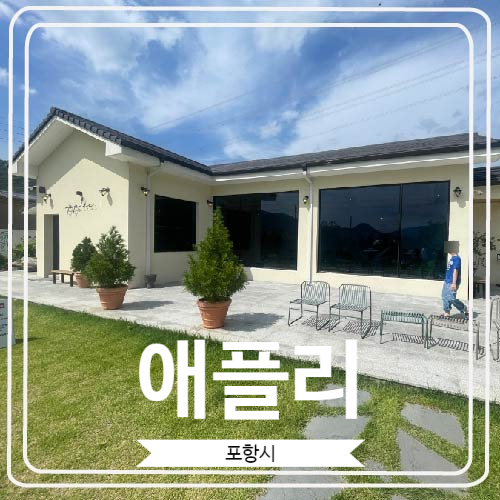  [애플리] 편백미로를 즐길 수 있는 포항의 이색 카페