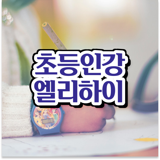  11세 초등수학학습지 엘리하이로 요약 정리