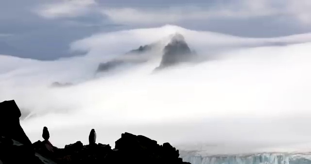  수산물 품질관리사 자격증 , 주목받는 이유