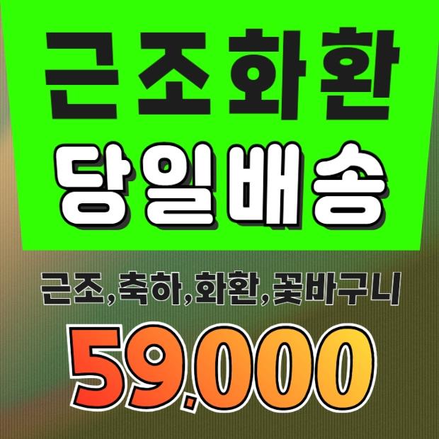 (주)제이엔<b>에이</b>실업 <b>근조화환</b> 가격 문자 3단 <b>화환</b>배달 당일배송!