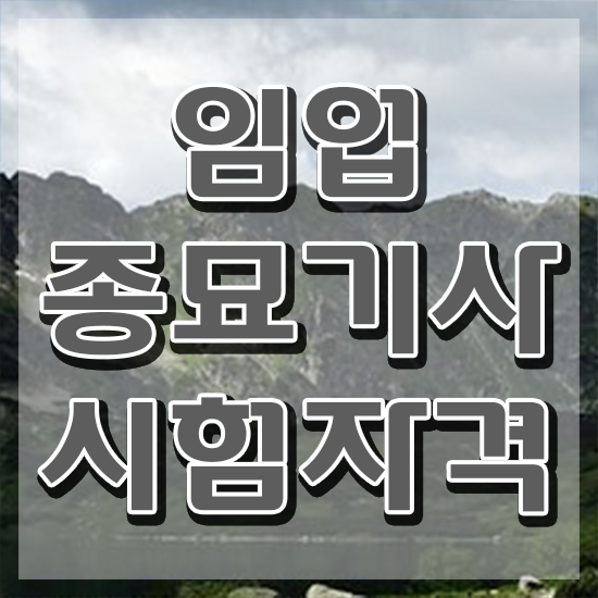  임업종묘기사 자격요건 학점은행제로 15주 동안 준비한 노하우