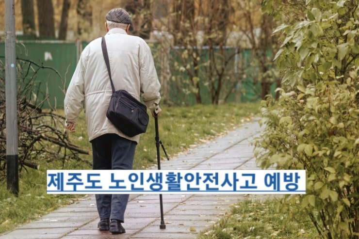  제주도 복지, 노인 생활안전사고 예방 지원사업