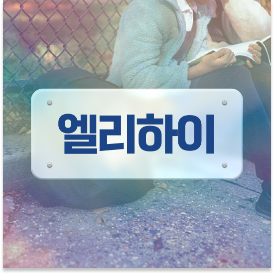  엘리하이로 학습 시작