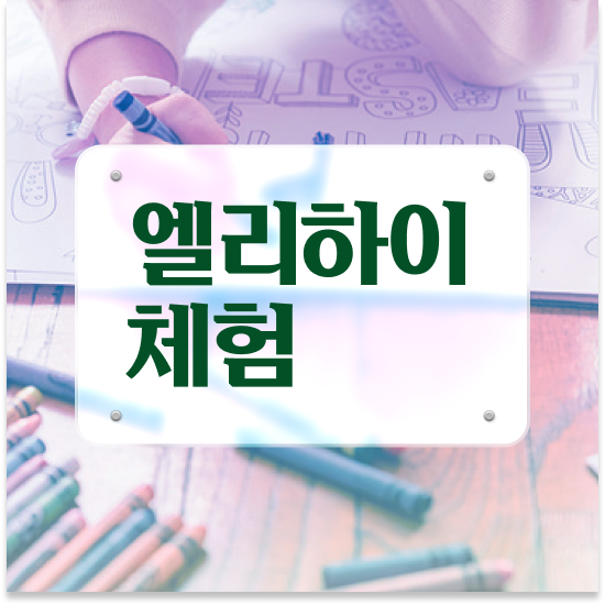  9세 초등 학습지 엘리하이로 재미있게