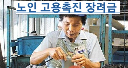  제주도 노인 고용촉진 장려금 지원대상 부터 혜택 까지