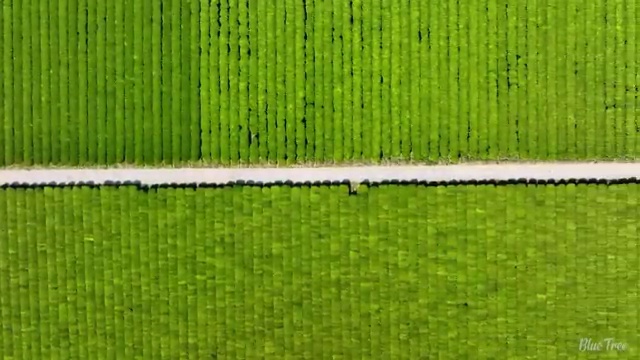  수산물품질관리사 자격증 , 초단기 준비했던 과정