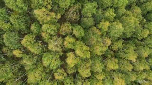  수산물품질관리원 자격증 , 합격률과 난이도