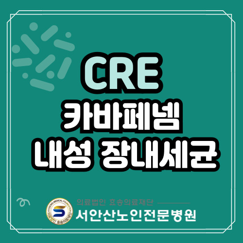 안산요양병원 감염관리 CRE , 카바페넴 내성 장내세균
