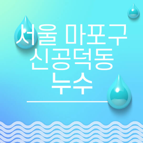  서울 마포구 신공덕동 누수탐지 전문업체: 비용, 보험, 후기, 출장비 정보