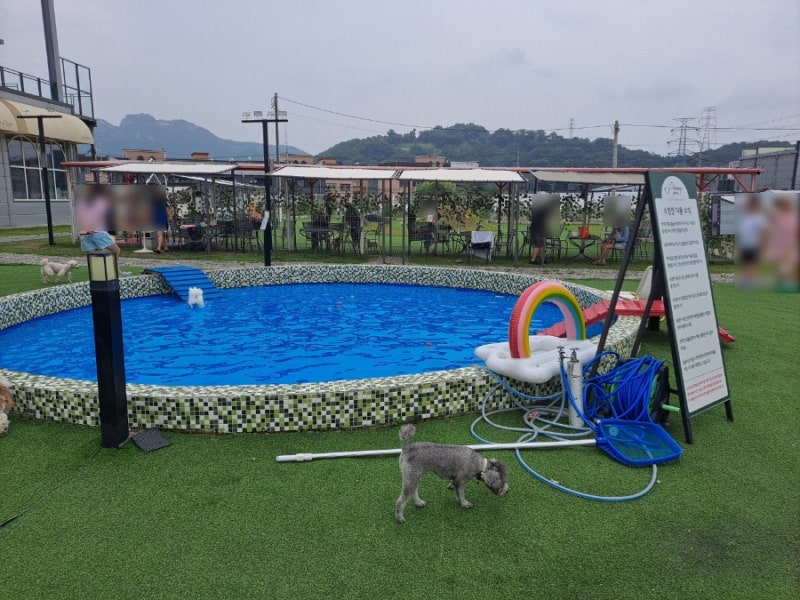 사진 6