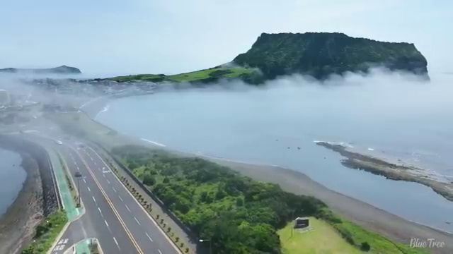  수산물품질관리사 자격증 , 학습과정