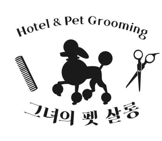 사진 2