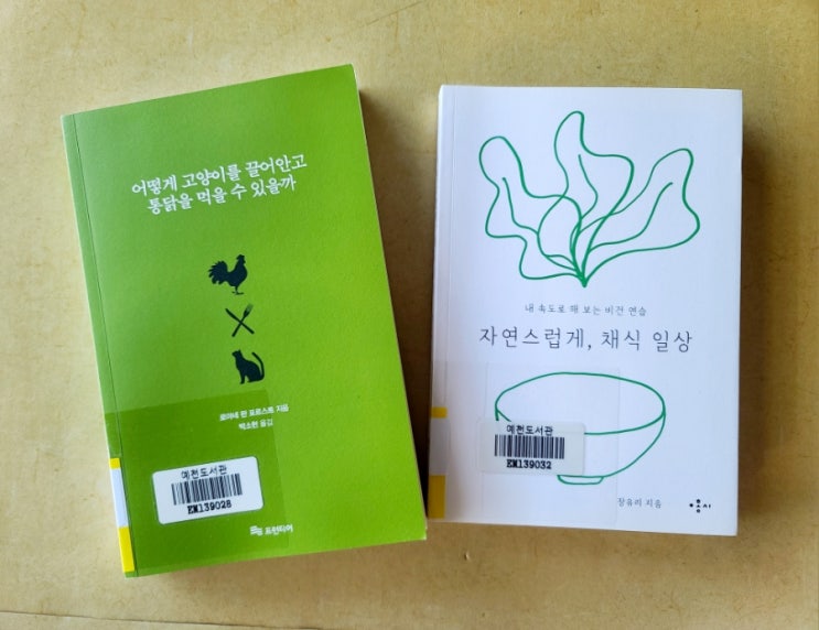  자연스럽게 채식 일상 어떻게 고양이를 끌어안고