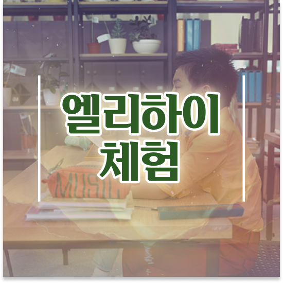 11세 초등학생영어교재 엘리하이로