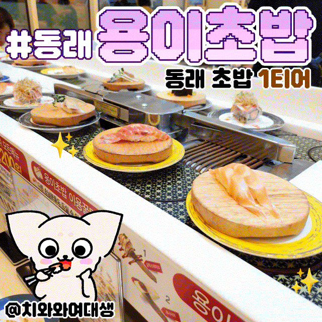  동래 용이초밥 맛집 부산 가성비 회전초밥