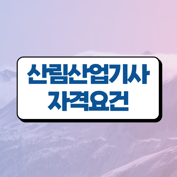  산림산업기사 필답 산림산업기사 취득자격 학점은행제로 4달 안에 준비한 방법
