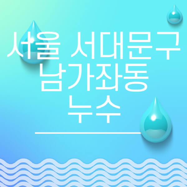 서울 서대문구 남가좌동 누수탐지 업체 비용과 후기