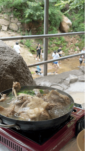  청솔집 물놀이가 가능한 서울 계곡 닭백숙과 부추전 +주차정보